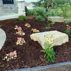 Landscape Design and Planting