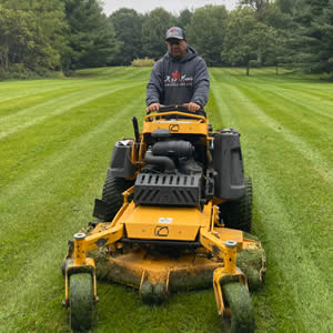 Lawn Mowing and Maintenance