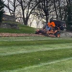 Professional Local Spring & Fall Clean Up Services