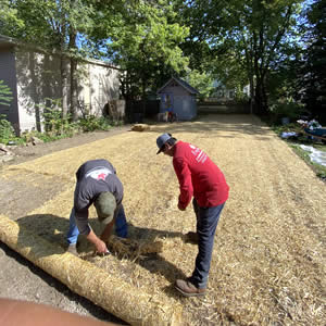 Professional Seeding & Sodding Services