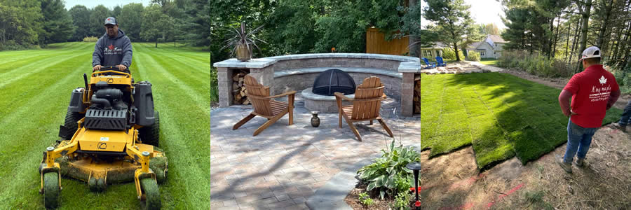 Shrub Pruning Trimming Services