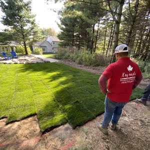Sod Installation