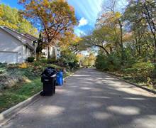 Fall clean up after1