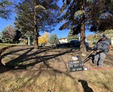 Before garden bed installation