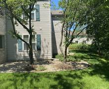 Landscape design3 before