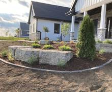 Landscape design and planting1