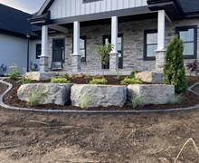 Landscape design and planting2