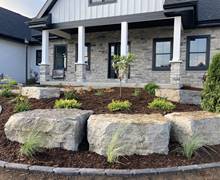 Landscape design and planting3