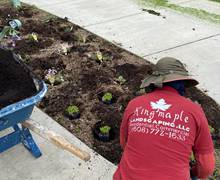 Planting and design2