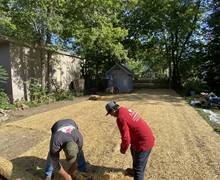 Seeding installation