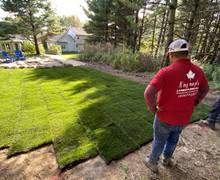 Sod Installation 